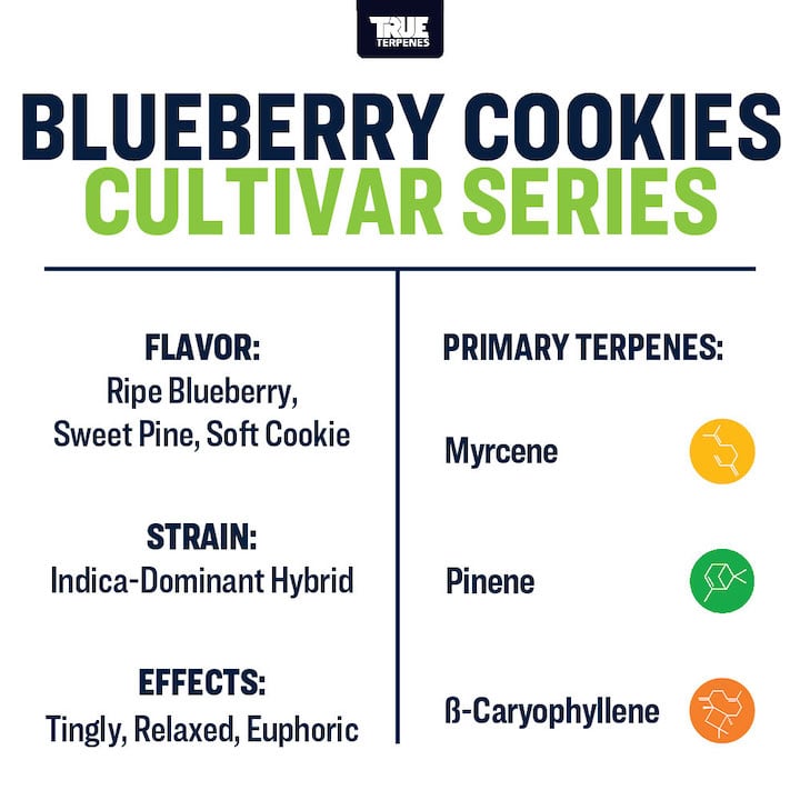 True Terpenes - Blueberry Cookies