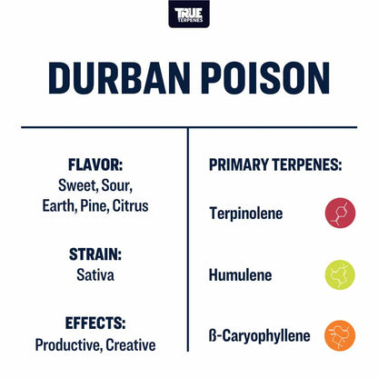 True Terpenes - Durban Poison