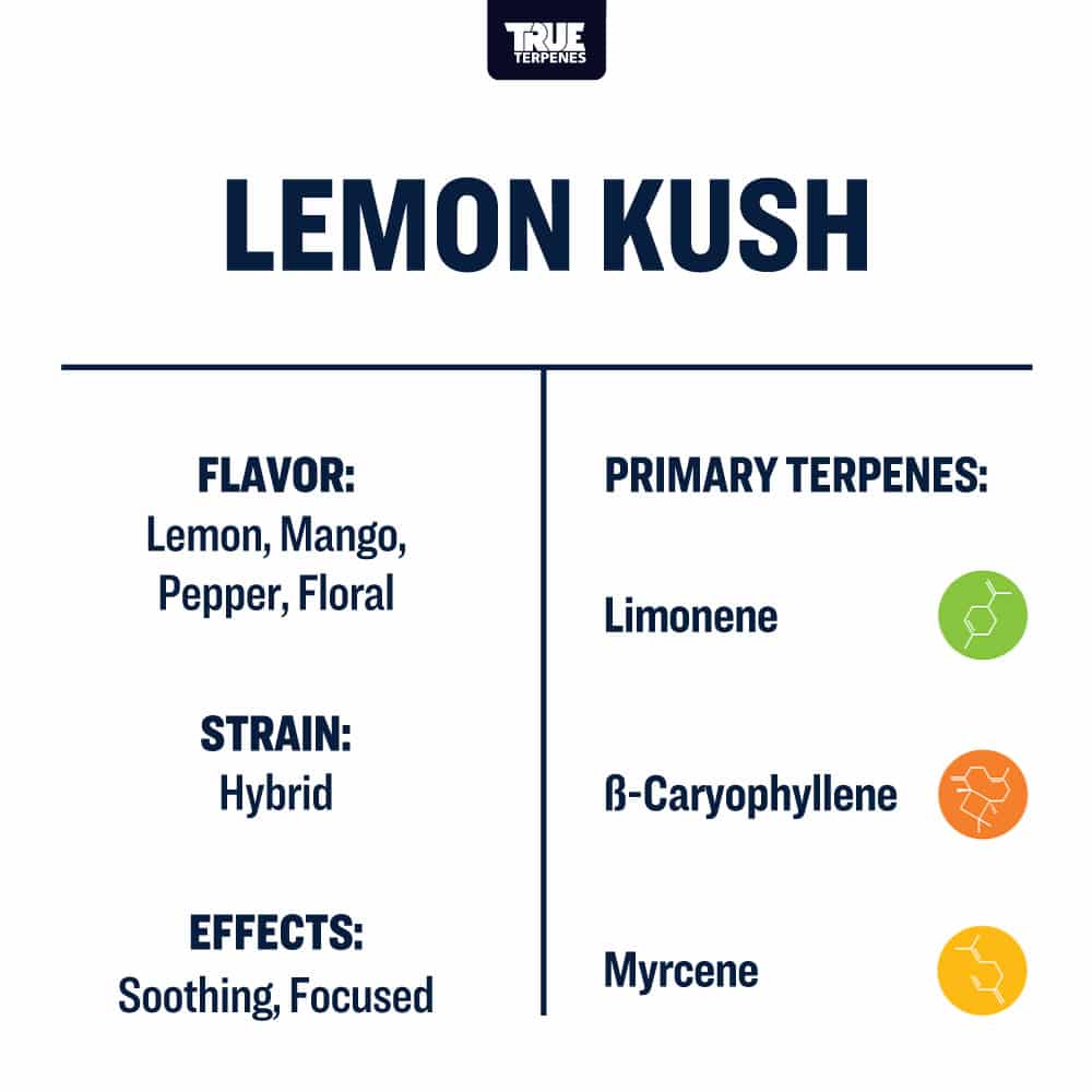 True Terpenes - Lemon Kush