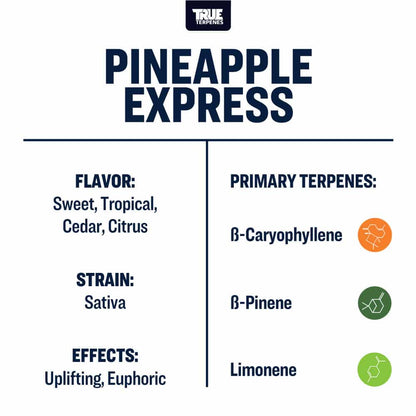 True Terpenes - Pineapple Express